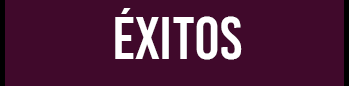 exitos de exitos